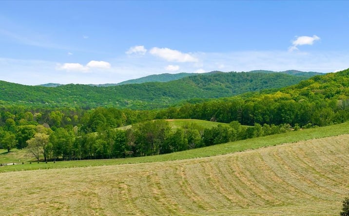 Pictures of Land property located at Lot 2 Bravo Way, Talking Rock, GA 30175 for sales - image #1