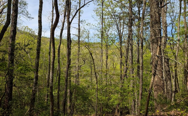 Pictures of Land property located at 348 Atali Circle, Murphy, MD 20906 for sales - image #1
