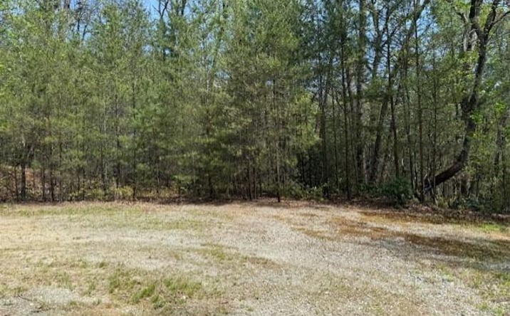 Pictures of Land property located at Lot 5 Marjorie Avenue, Ellijay, GA 30536 for sales - image #1