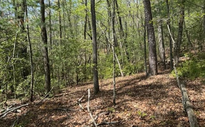 Pictures of Land property located at Lot 9 Marjorie Avenue, Ellijay, GA 30536 for sales - image #1