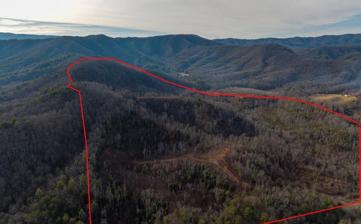 Pictures of Land property located at 156+ AC Higdon Creek Road, Blue Ridge, GA 30513 for sales - image #1