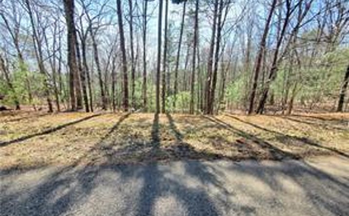 Pictures of Land property located at Trails End Summit, Ellijay, GA 30540 for sales - image #1