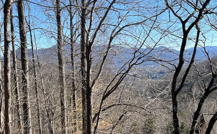 Pictures of Land property located at Lot 31 Hidden Summit Road, Hiawassee, GA 30546 for sales - image #1