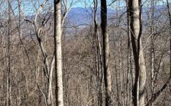 Pictures of Land property located at Lot 29 Hidden Summit Road, Hiawassee, GA 30546 for sales - image #1