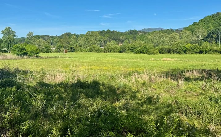 Pictures of Land property located at Tomotla Road, Marble, NC 28905 for sales - image #1