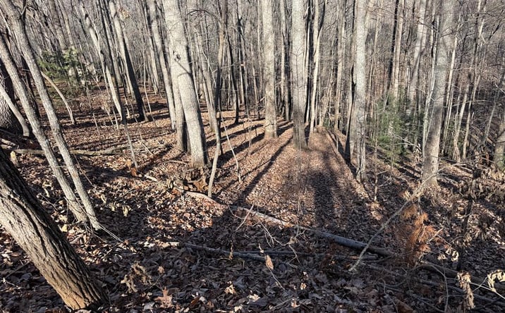 Pictures of Land property located at LOT 2 Doc Thomas Ridge Road, Blairsville, GA 30512 for sales - image #1