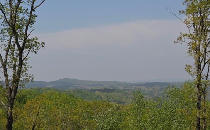 Pictures of Land property located at Lot 105 Twisted Oak Road, Talking Rock, GA 30175 for sales - image #1