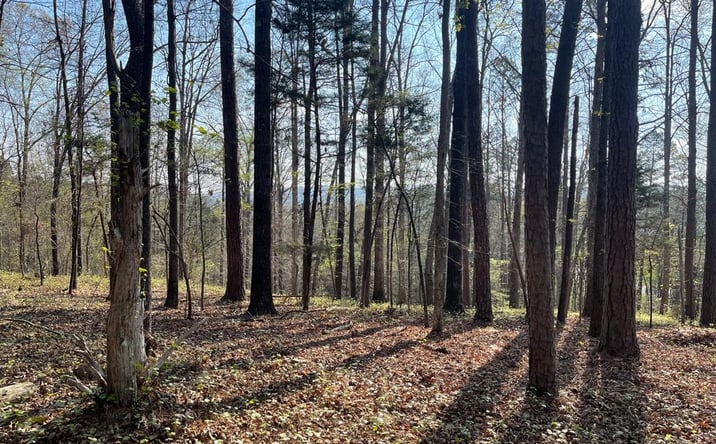Pictures of Land property located at Lot 12 Chalcrest Way, Cave Spring, GA 30124 for sales - image #1