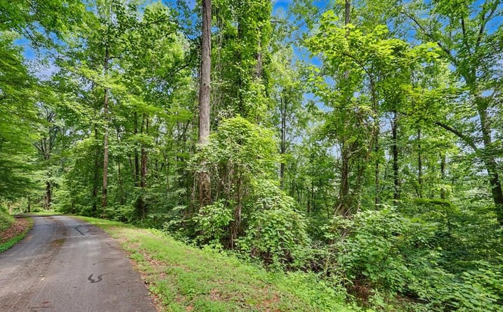 Pictures of Land property located at #2 High Meadows Drive, Hayesville, NC 28904 for sales - image #1