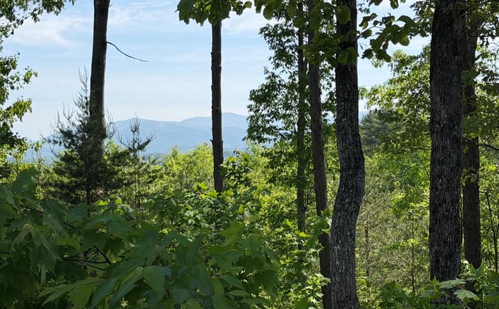 Pictures of Land property located at LOT 31 Summit View Lane, Ellijay, GA 30540 for sales - image #1
