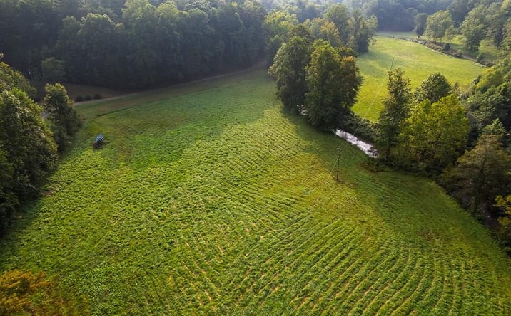 Pictures of Land property located at 228 Holly Branch Drive, Ellijay, GA 30540 for sales - image #1