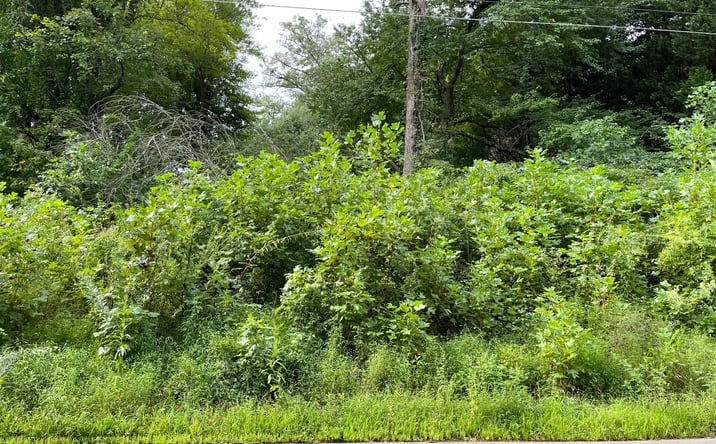 Pictures of Land property located at Lot 27 Sneaking Creek Drive, Hayesville, NC 28904 for sales - image #1