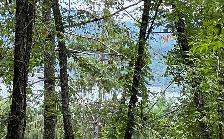 Pictures of Land property located at PC 1 Buena Vista Drive, Hayesville, NC 28904 for sales - image #1