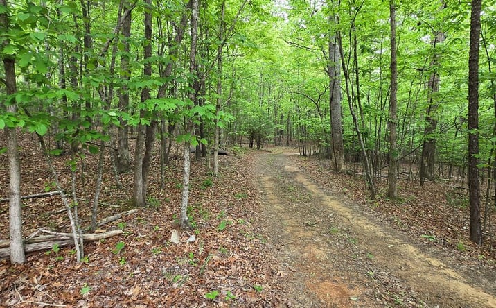 Pictures of Land property located at 3.5acre Dusty Trail, Morganton, GA 30560 for sales - image #1
