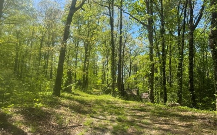 Pictures of Land property located at 557 Shelton Road, Suches, GA 30572 for sales - image #1