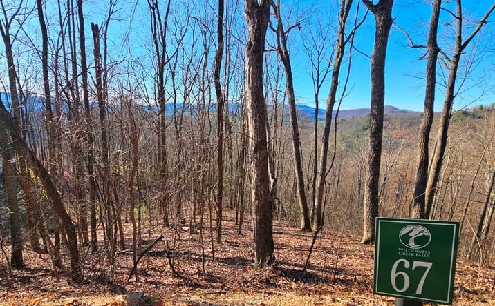 Pictures of Land property located at Lot 67 Wilderness Creek Way, Hothouse, NC 28906 for sales - image #1