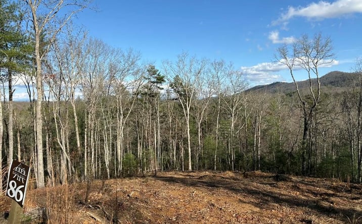 Pictures of Land property located at Lot 86 Lookout Ridge, Mineral Bluff, GA 30559 for sales - image #1