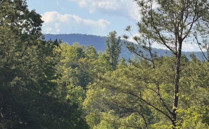 Pictures of Land property located at Lot 2 Grassy Creek Road, Copperhill, TN 37317 for sales - image #1
