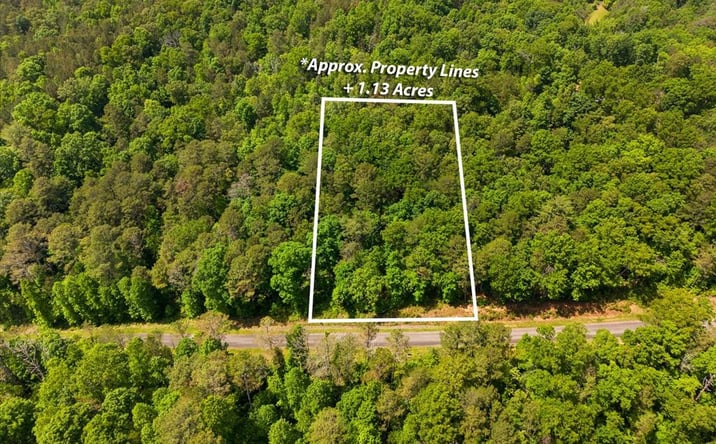Pictures of Land property located at Lot 238 Pinnacle Dr, Ellijay, GA 30540 for sales - image #1