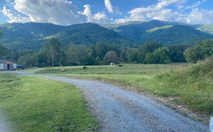 Pictures of Land property located at 10617 Hwy 64 E, Hayesville, NC 28904 for sales - image #1