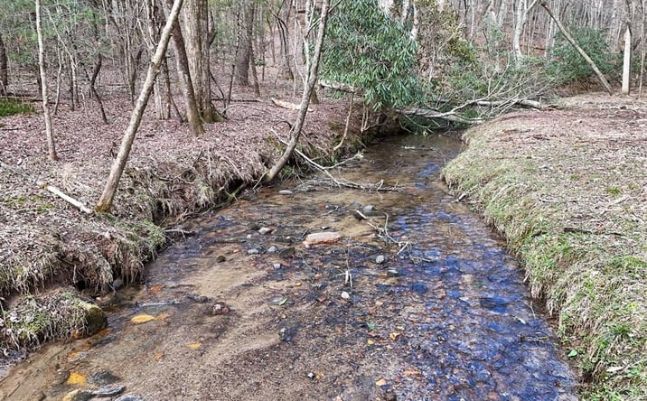 Pictures of Land property located at Lot 45B Synacia Drive, Mineral Bluff, GA 30559 for sales - image #1