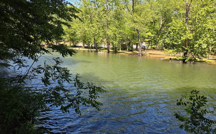 Pictures of Land property located at Lot 4 Ch Colwell Drive, Blairsville, GA 30512 for sales - image #1