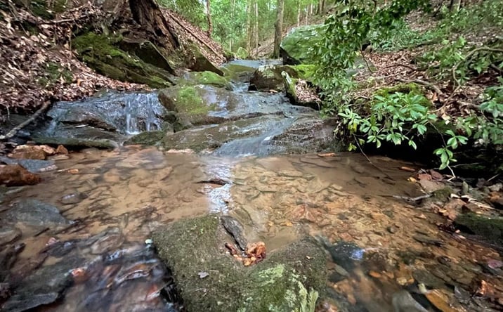 Pictures of Land property located at 64 Kristin Lane, Ellijay, GA 30540 for sales - image #1
