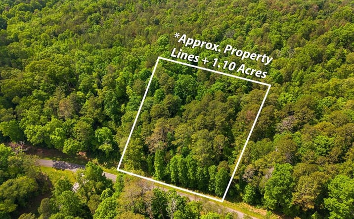 Pictures of Land property located at Lot 240 Pinnacle Dr, Ellijay, GA 30540 for sales - image #1