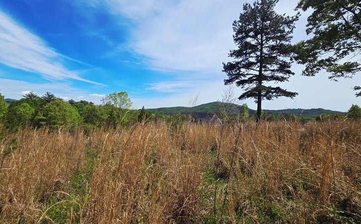 Pictures of Land property located at Lot 48 Water Oak Lane, Blairsville, GA 30512 for sales - image #1