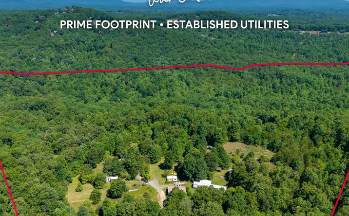 Pictures of Land property located at 46 Green Kirby Lane, Blue Ridge, GA 30513 for sales - image #1