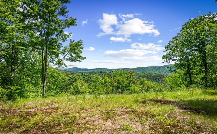 Pictures of Land property located at Lt 379 Dream Catcher, Blue Ridge, GA 30513 for sales - image #1