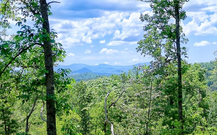 Pictures of Land property located at Lot 28 Bryson Creek, Murphy, NC 28906 for sales - image #1