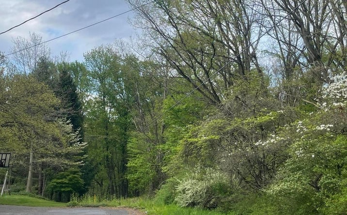 Pictures of Land property located at Sand Hill Rd, Montoursville, PA 17754 for sales - image #1