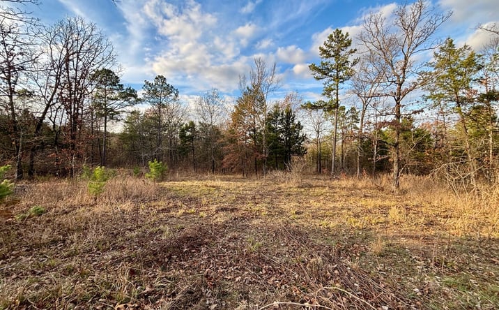 Pictures of Land property located at 100 White Rd, Heavener, OK 74937 for sales - image #1