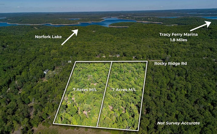 Pictures of Land property located at Tracts 1 & 2, Rocky Ridge Road, Mountain Home, AR 72653 for sales - image #1