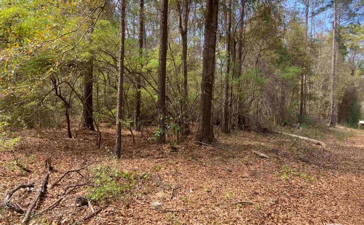 Pictures of Land property located at Tom Shivers Rd, Flomaton, AL 36441 for sales - image #1