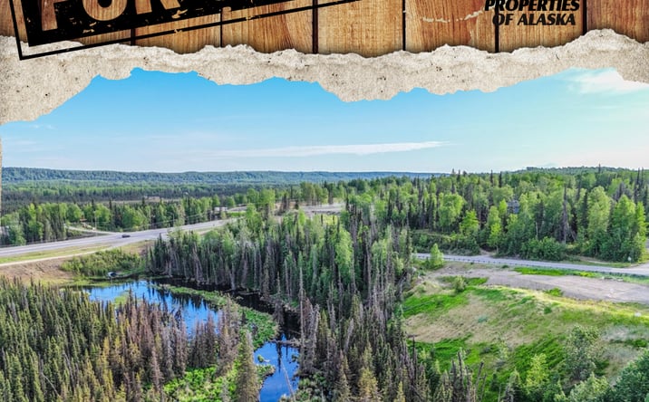 Pictures of Land property located at TR A2 Mackey Lake Road, Soldotna, AK 99669 for sales - image #1