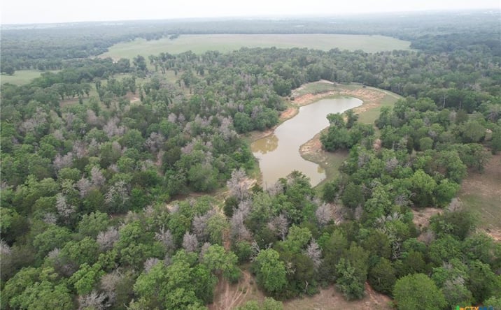 Pictures of Land property located at 8550 CR 455, Lexington, TX 76577 for sales - image #1