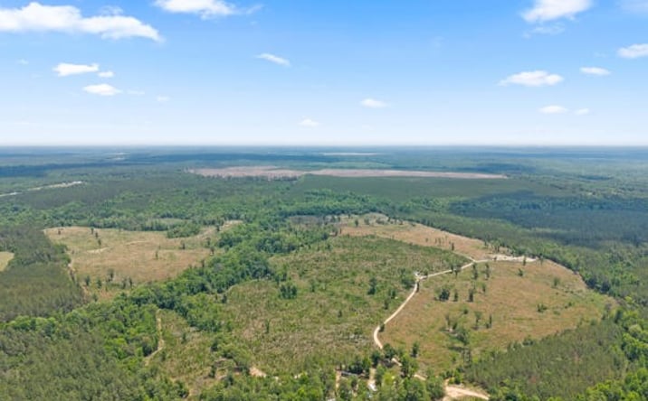 Pictures of Land, Mobile Home Park property located at 878 Hephzibah-Keysville Road, Hephzibah, GA 30815 for sales - image #1