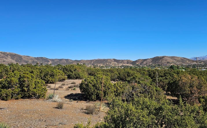 Pictures of Land property located at Shannondale Road, Acton, CA 93510 for sales - image #1