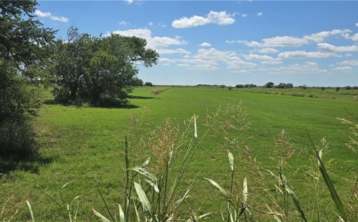 Pictures of Land property located at Nelson, Rio Hondo, TX 78583 for sales - image #1