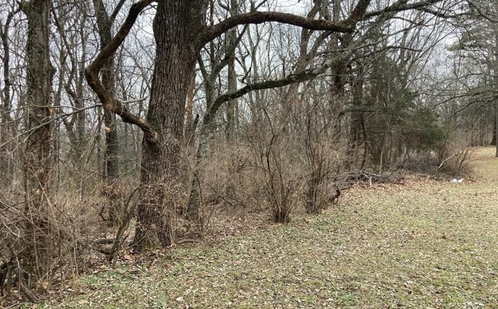 Pictures of Land property located at 000 W Circle Drive, Greenland, AR 72701 for sales - image #1