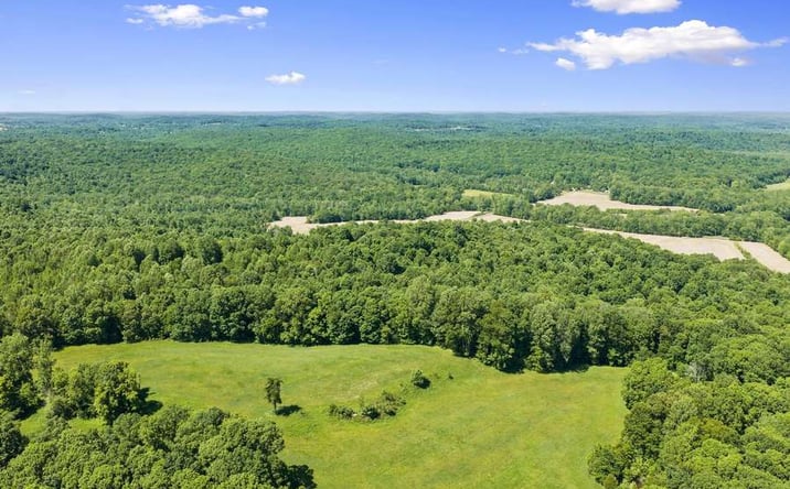 Pictures of Land property located at 000 Dimond Spring Rd., Lewisburg, KY 42256 for sales - image #1