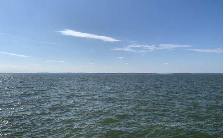 Pictures of Land property located at 445 Carolcrest Lane, Livingston, TX 77351 for sales - image #1