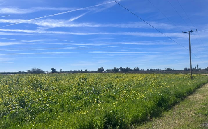 Pictures of Land property located at SE Avenue 88 Avenue Se, Terra Bella, CA 93270 for sales - image #1