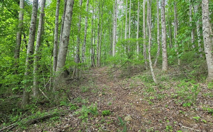 Pictures of Land, Multifamily property located at TBD Bent Nail Rd, Hillsville, VA 24343 for sales - image #1