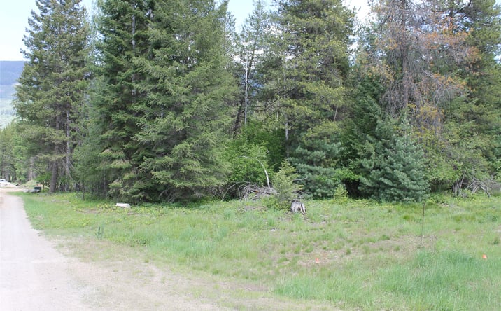 Pictures of Land property located at 2773 Mt Highway 200, TROUT CREEK, MT 59874 for sales - image #1
