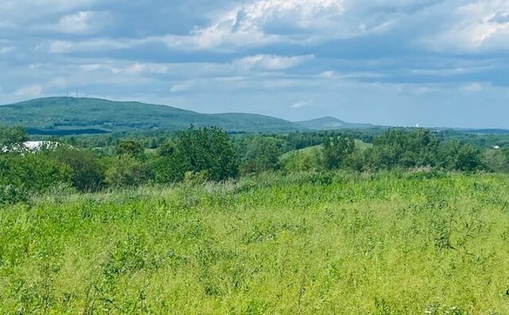 Pictures of Land property located at Tbd Clarkes Lane, Marlboro, NY 12542 for sales - image #1