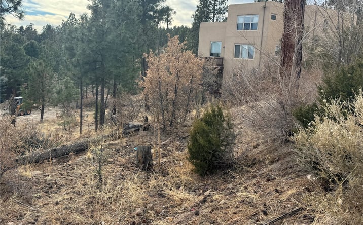 Pictures of Land property located at 1620 Sonrisa, Los Alamos, NM 87544 for sales - image #1