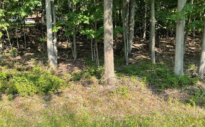 Pictures of Land property located at 14 Stanford Rd, Binghamton, NY 13903 for sales - image #1